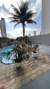 instituto integrando foto (4)