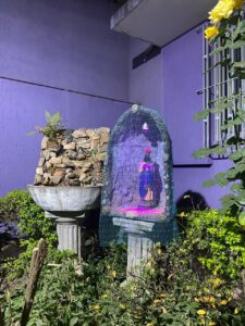 instituto integrando foto (5)